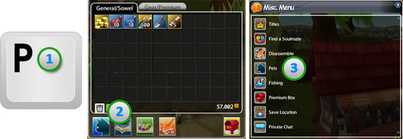 Best Anime MMORPG - Asda 2 - Pet Window Opening