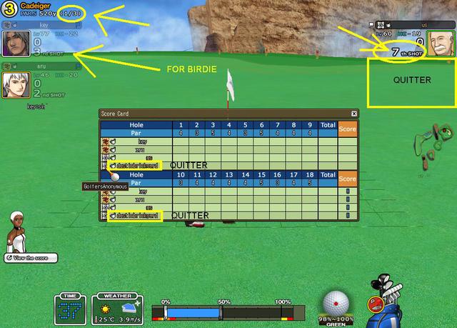 dustinbrickyard quitter