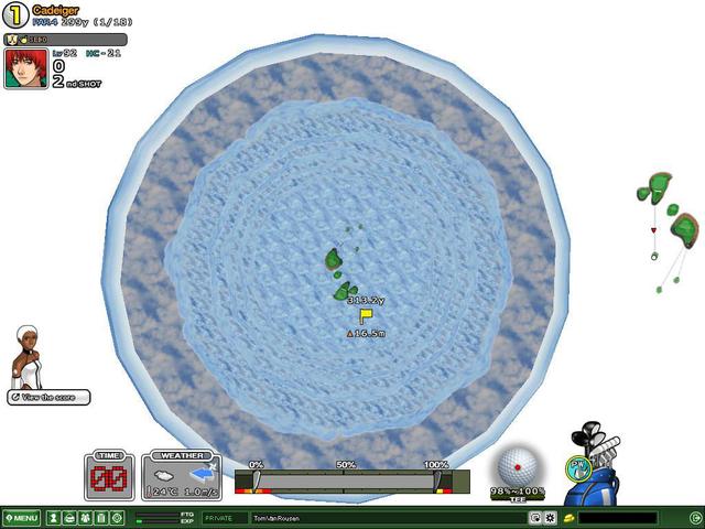Cadeiger hole 1 bird``s-eye view !
