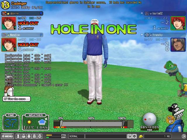 HIO cade hole 13