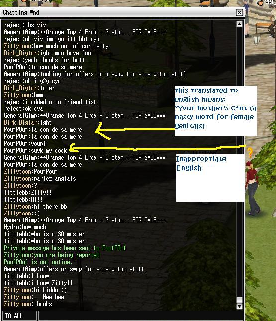 inappropriate language