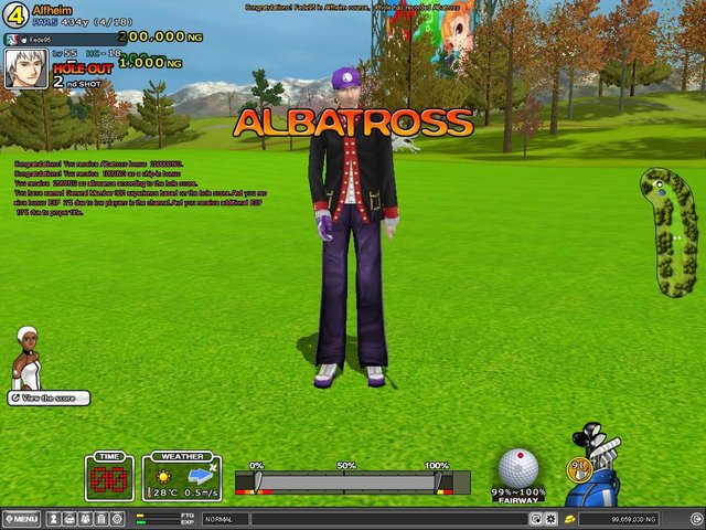 albatross