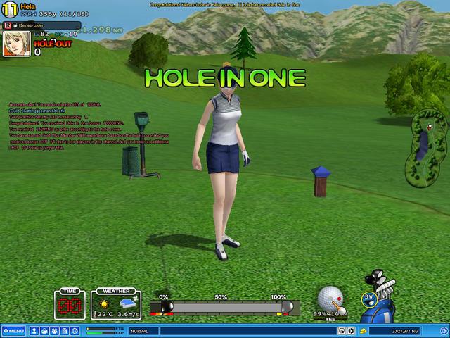 Nice Hole In One!