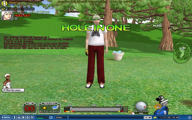 hole in 1