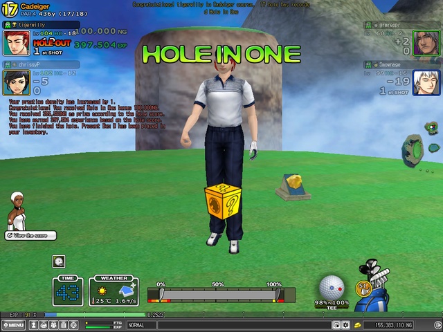 tigerwilly hole 17