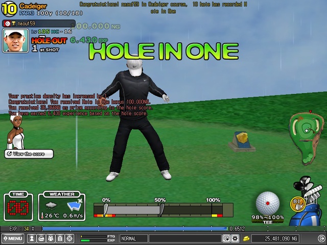 hole in one